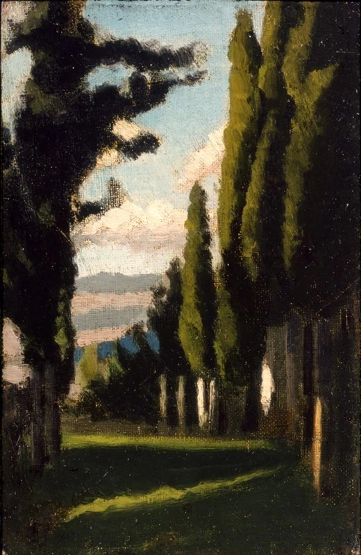 Cipressi a Volognano, 1858